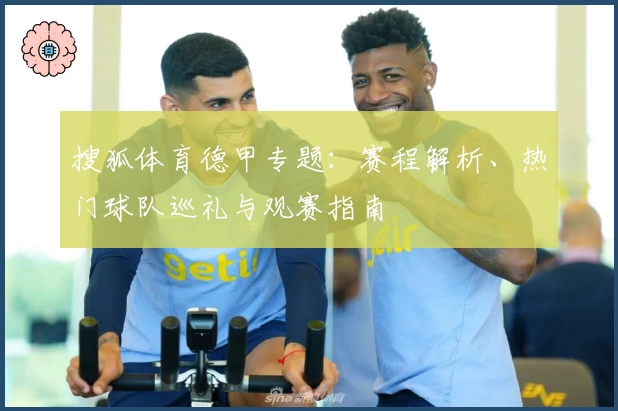 搜狐体育德甲专题：赛程解析、热门球队巡礼与观赛指南