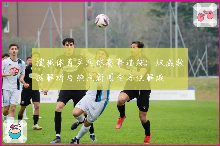 搜狐体育乒乓球赛事追踪：权威数据解析与热点新闻全方位解读