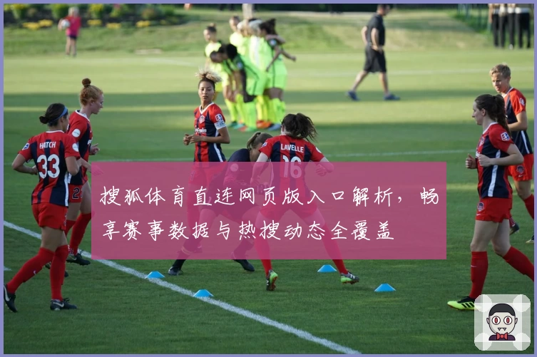 搜狐体育直连网页版入口解析，畅享赛事数据与热搜动态全覆盖