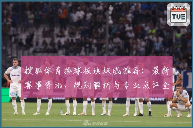 搜狐体育排球板块权威推荐：最新赛事资讯、规则解析与专业点评全覆盖