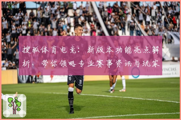 搜狐体育电竞：新版本功能亮点解析，带你领略专业赛事资讯与玩家社区魅力