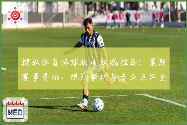 搜狐体育排球板块权威推荐：最新赛事资讯、规则解析与专业点评全覆盖