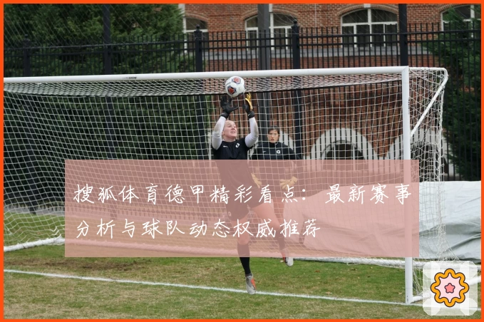 搜狐体育德甲精彩看点：最新赛事分析与球队动态权威推荐