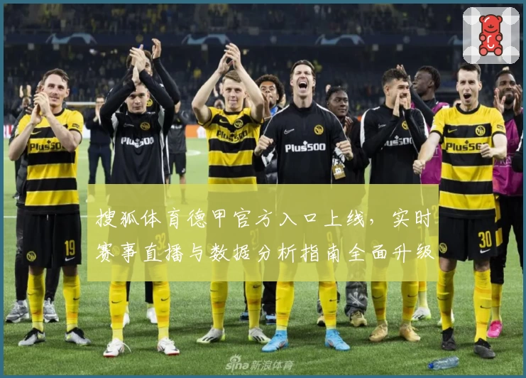 搜狐体育德甲官方入口上线，实时赛事直播与数据分析指南全面升级